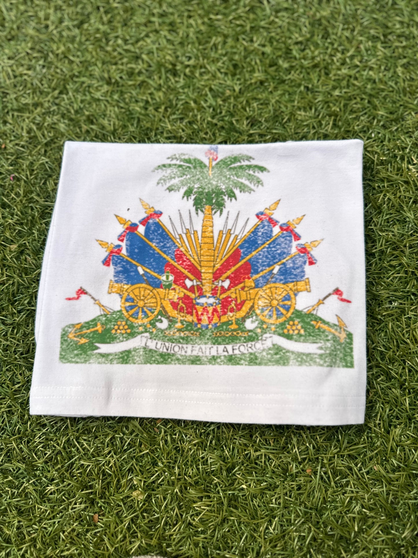 Haiti White Crop Top