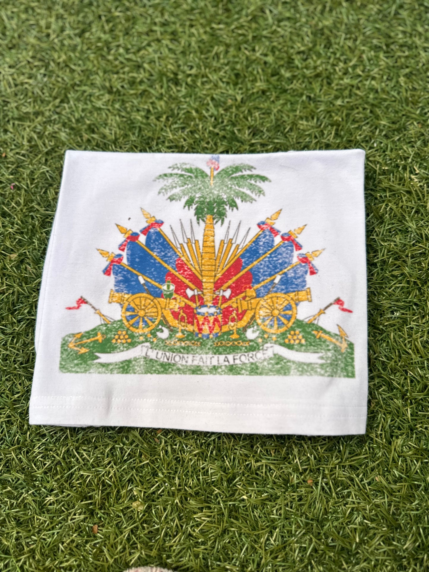 Haiti White Crop Top
