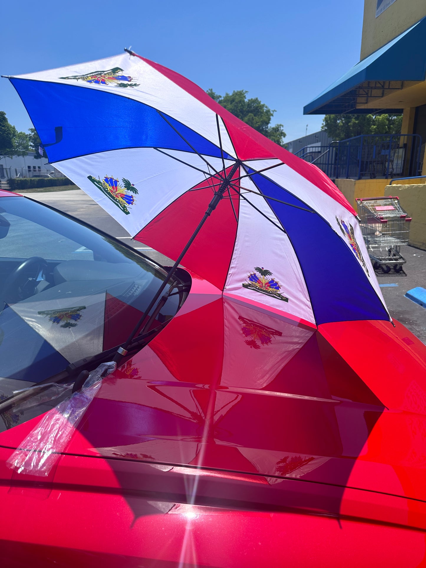 Haiti Umbrella