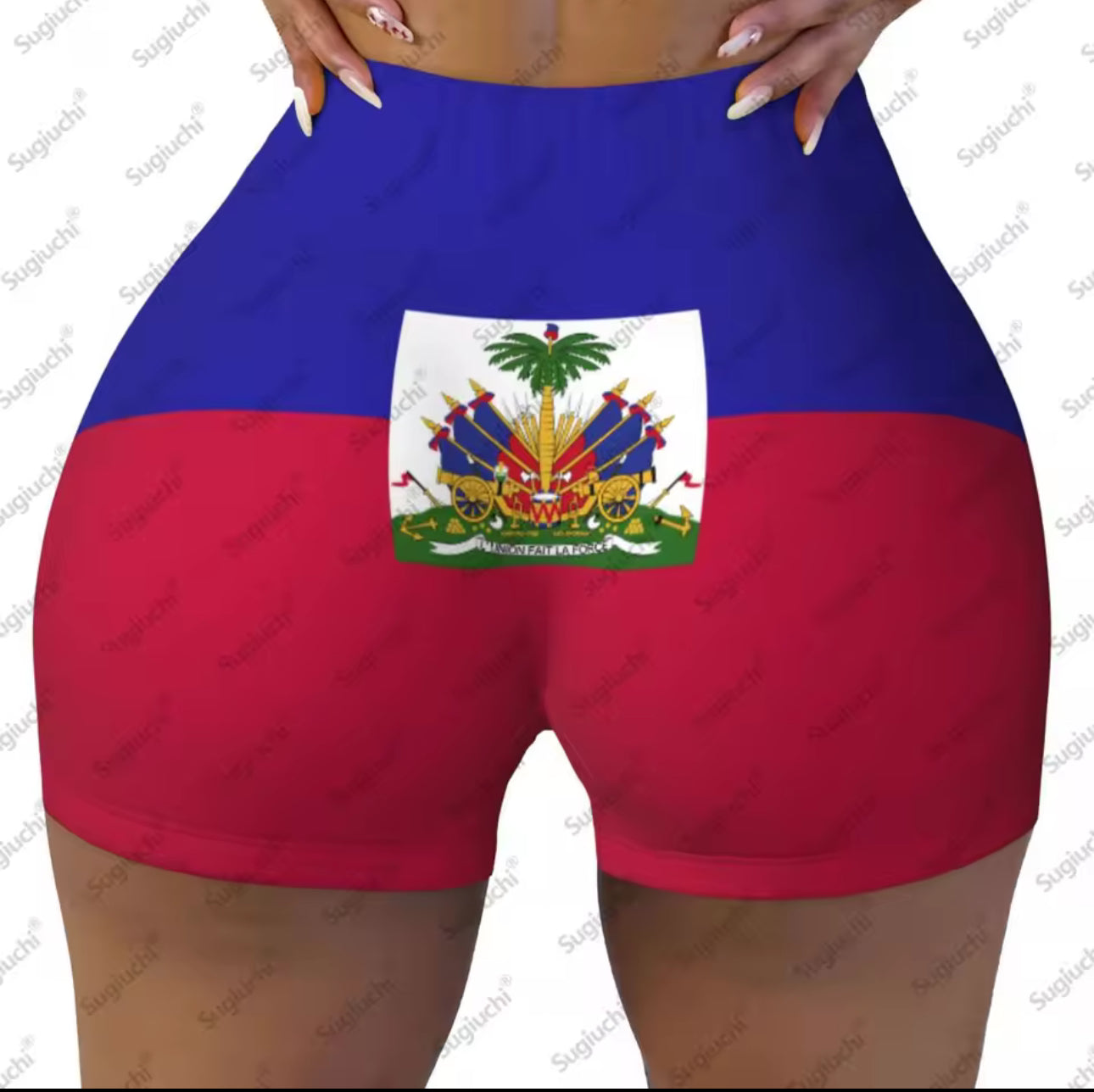Haitian Flag High Waist Biker Shorts